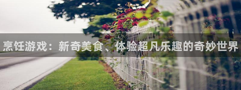鼎点娱乐4主管：烹饪游戏：新奇美食、体验超凡乐趣的奇妙世界