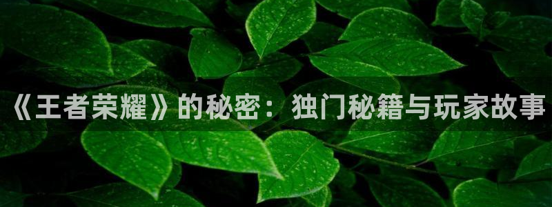 鼎点娱乐平台登录：《王者荣耀》的秘密：独门秘籍与玩家故事