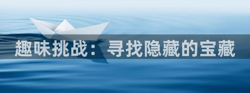 鼎点娱乐主管：趣味挑战：寻找隐藏的宝藏