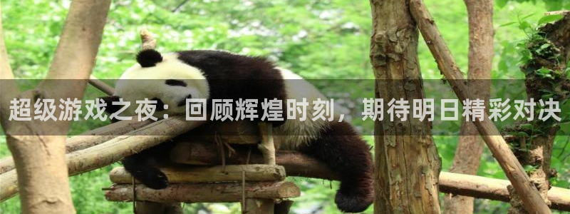 鼎点娱乐官方平台：超级游戏之夜：回顾辉煌时刻，期待明日精彩对