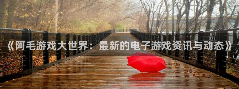 鼎点娱乐平台官网客服电话：《阿毛游戏大世界：最新的电子游戏资