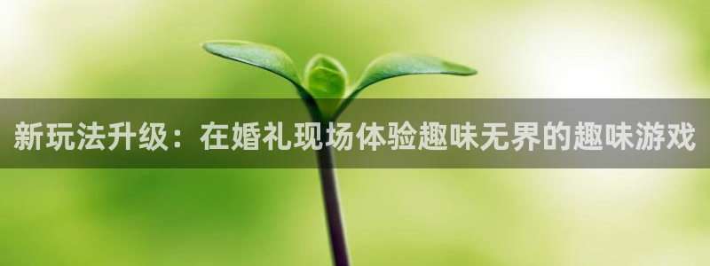 鼎点娱乐4主管：新玩法升级：在婚礼现场体验趣味无界的趣味游戏