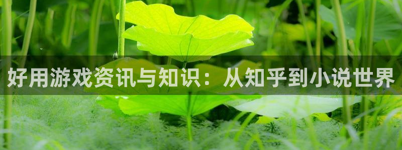 鼎点娱乐平台官网登录：好用游戏资讯与知识：从知乎到小说世界