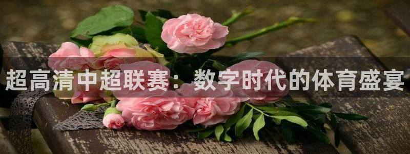 五星体育直播官网