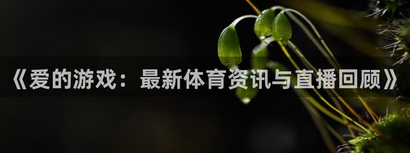 鼎点娱乐官方网站入口网址