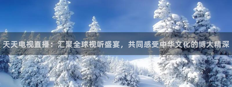 上海市五星体育频道：天天电视直播：汇聚全球视听盛宴，共同感受中华文化的博大精深
