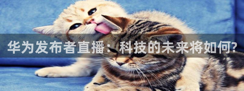 上海五星体育直播网：华为发布者直播：科技的未来将如何?