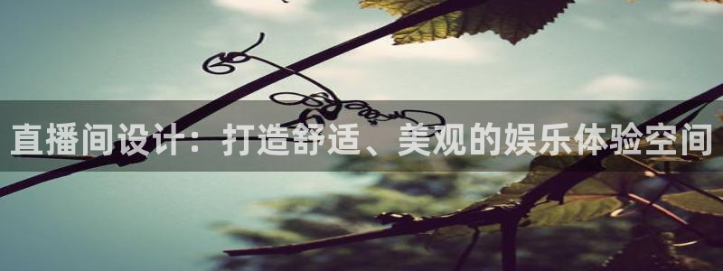 上海五星体育在线直播观看：直播间设计：打造舒适、美观的娱乐体验空间